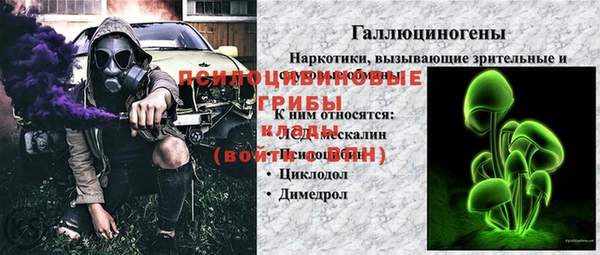 ГАЛЛЮЦИНОГЕННЫЕ ГРИБЫ Алексин