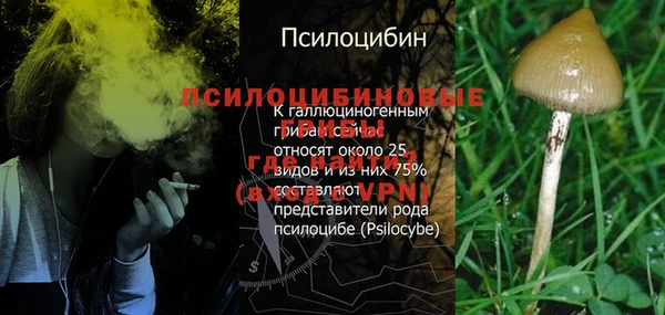 ГАЛЛЮЦИНОГЕННЫЕ ГРИБЫ Алексин