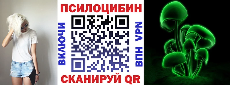 Псилоцибиновые грибы Cubensis  где купить наркотик  Богучар 